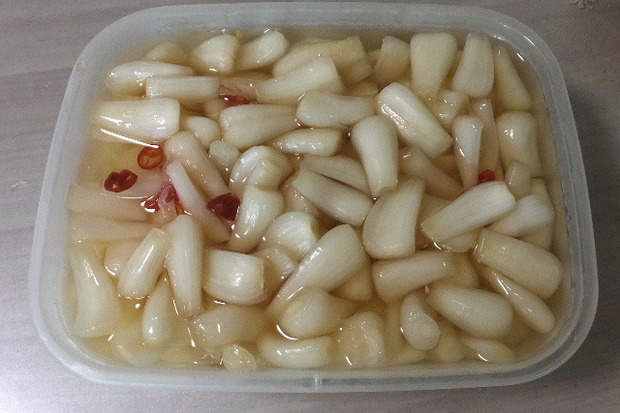 2024_0516山菜0022.JPG