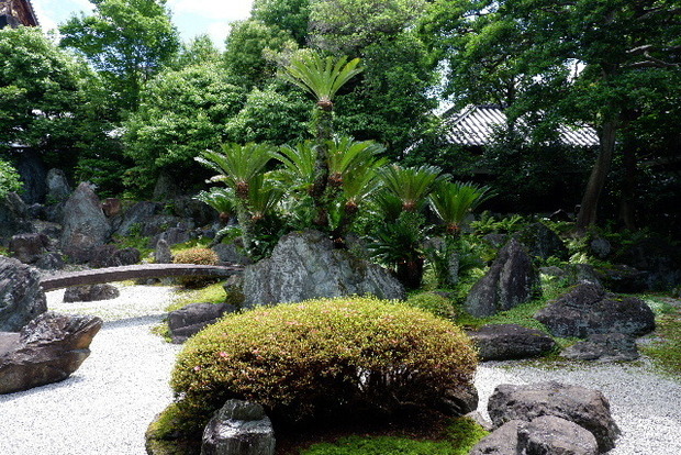 2024_0605念佛奉仕　６．３４0102.JPG