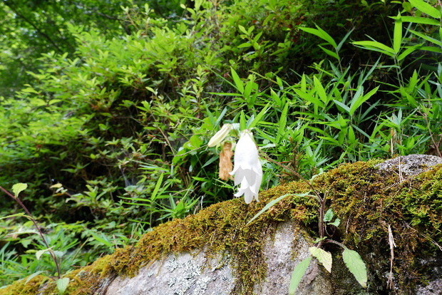 2024_0706奥吉野２０２４．７月0134.JPG