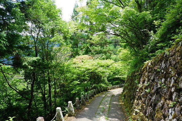 2024_0706奥吉野２０２４．７月0136.JPG