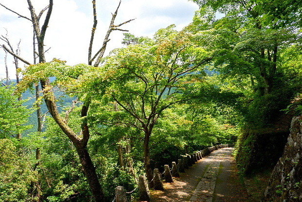 2024_0706奥吉野２０２４．７月0138.JPG