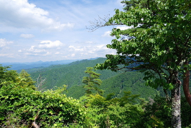 2024_0706奥吉野２０２４．７月0159.JPG