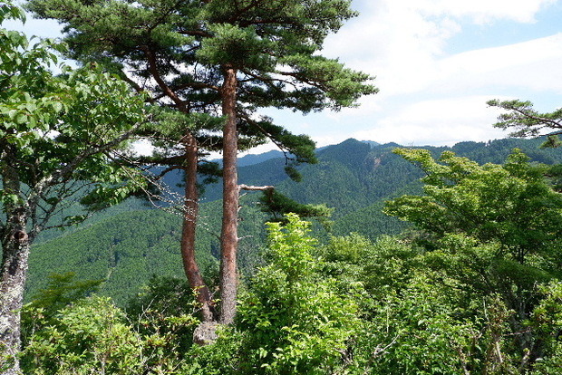 2024_0706奥吉野２０２４．７月0160.JPG
