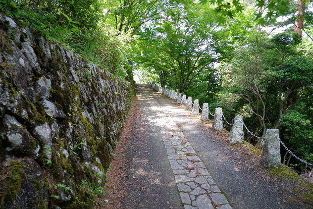 2024_0706奥吉野２０２４．７月0168.JPG