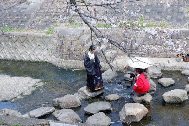 2025_0403４月３日佐保川桜0032.JPG