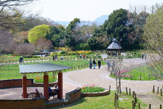 2025_0407４月３日佐保川桜0154.JPG