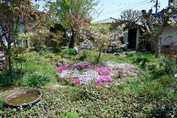 2025_04140016.JPG