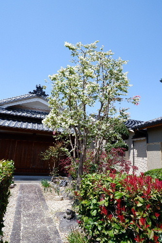 2025_04140017.JPG