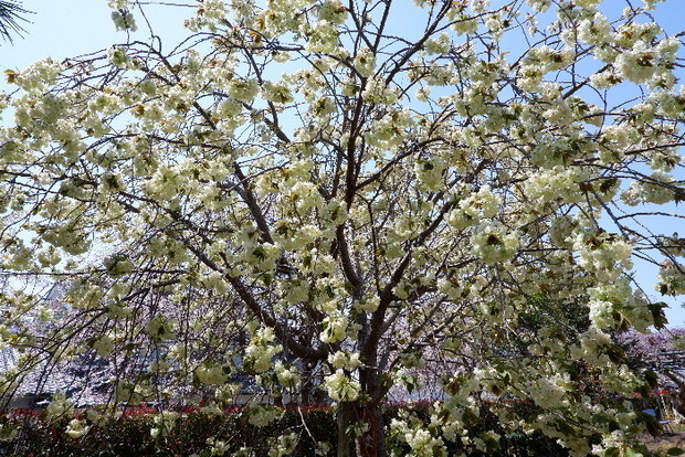 2025_04140020.JPG