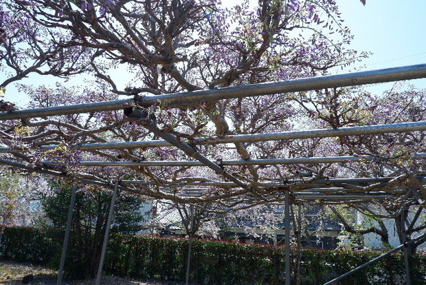 2025_04140035.JPG