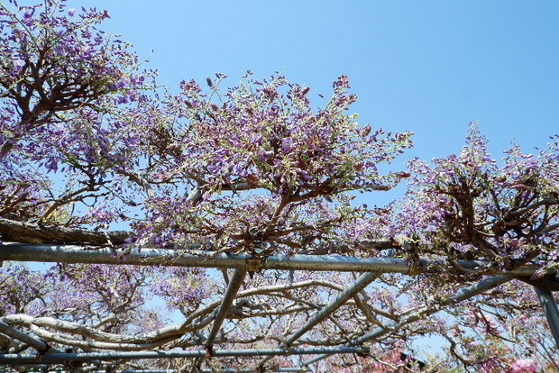 2025_04140037.JPG