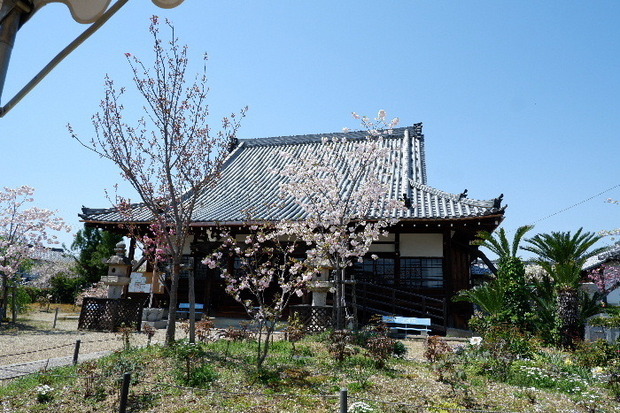 2025_04140041.JPG