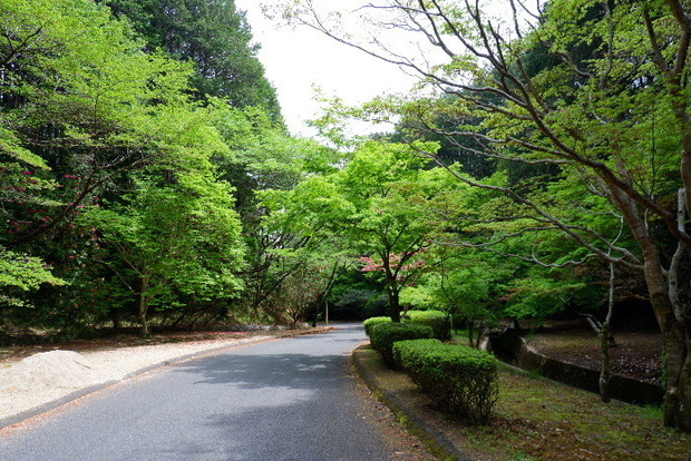 2025_0422船宿寺４・２２・２０0030.JPG