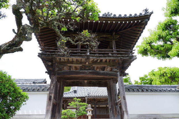 2025_0422船宿寺４・２２・２０0040.JPG