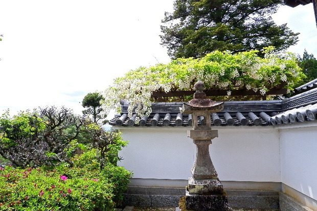 2025_0422船宿寺４・２２・２０0041.JPG