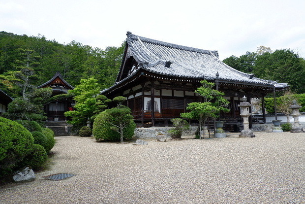 2025_0422船宿寺４・２２・２０0046.JPG