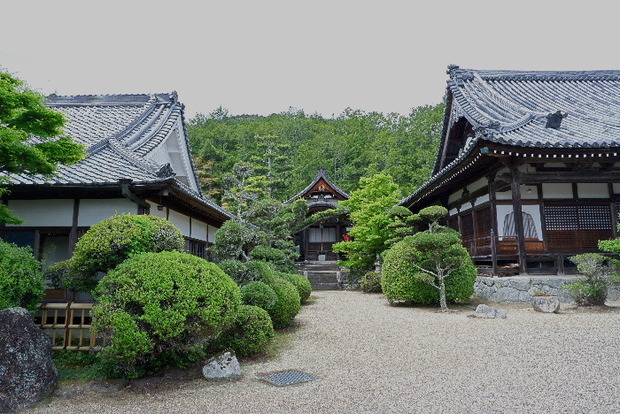 2025_0422船宿寺４・２２・２０0047.JPG