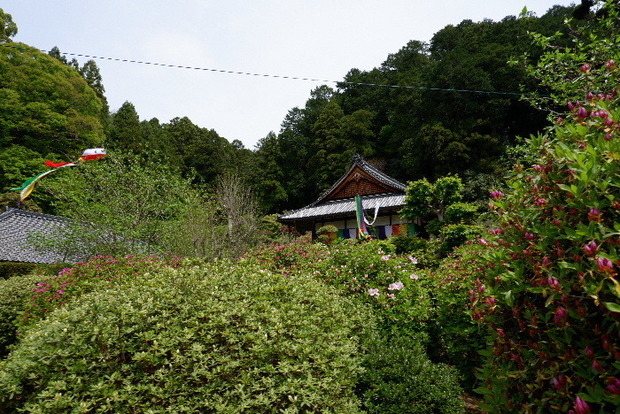 2025_0422船宿寺４・２２・２０0053.JPG