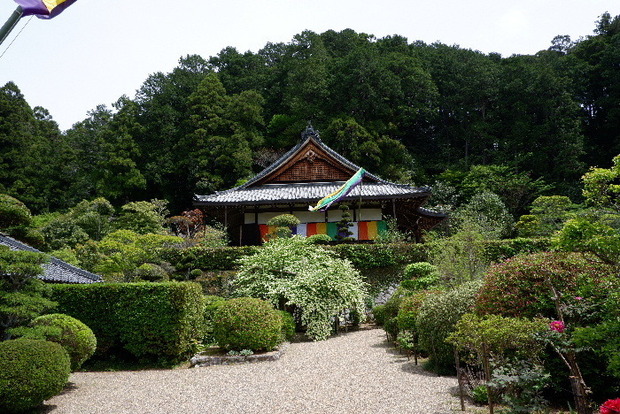 2025_0422船宿寺４・２２・２０0058.JPG