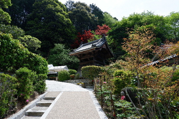 2025_0422船宿寺４・２２・２０0069.JPG