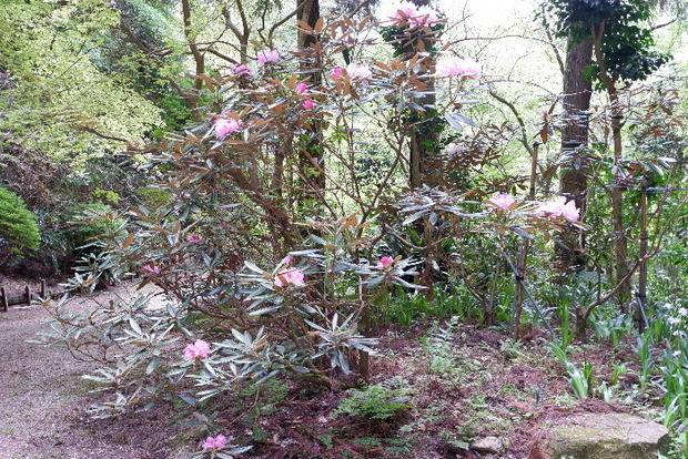 2025_0422船宿寺４・２２・２０0083.JPG