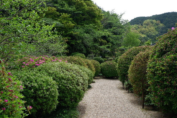 2025_0422船宿寺４・２２・２０0088.JPG