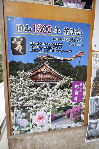 2025_0422船宿寺４・２２・２０0090.JPG