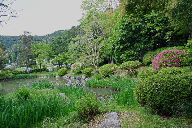 2025_0429４月月２９日九品寺0010.JPG