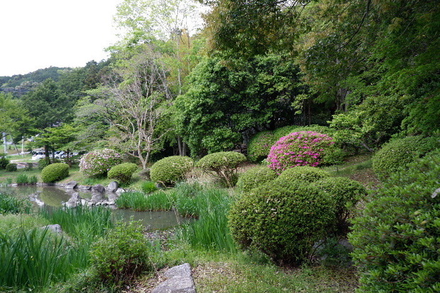 2025_0429４月月２９日九品寺0011.JPG