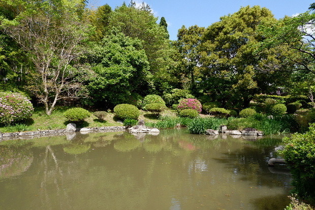 2025_0429４月月２９日九品寺0014.JPG