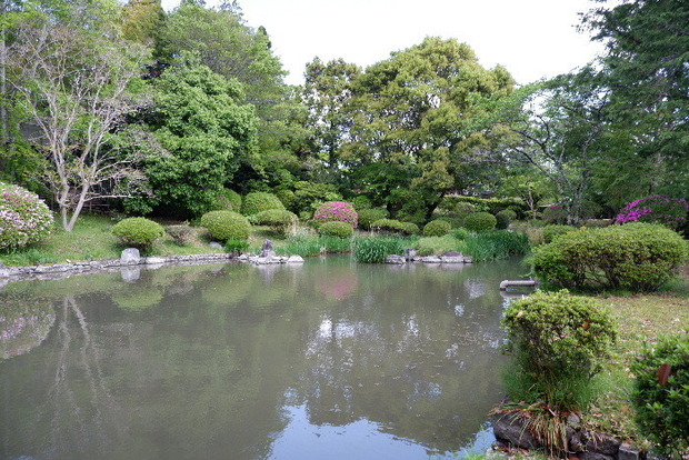 2025_0429４月月２９日九品寺0015.JPG