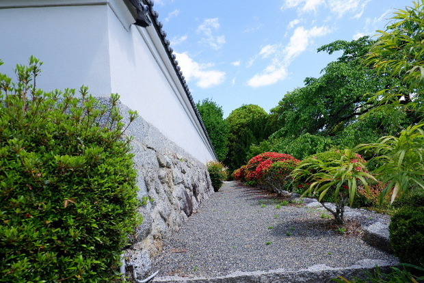 2025_0429４月月２９日九品寺0017.JPG