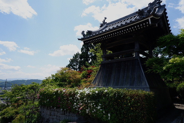 2025_0429４月月２９日九品寺0019.JPG