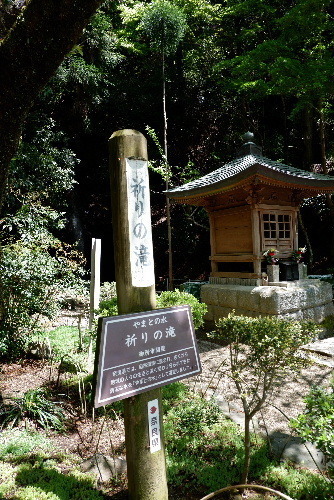 2025_0429４月月２９日九品寺0024.JPG