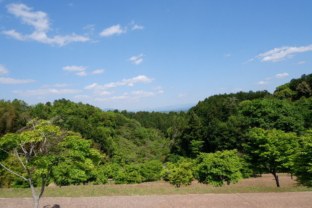 2025_0429４月月２９日九品寺0060.JPG