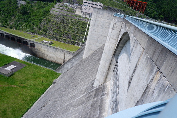 2025_06026月2日ミヤマオオヤマ0112.JPG