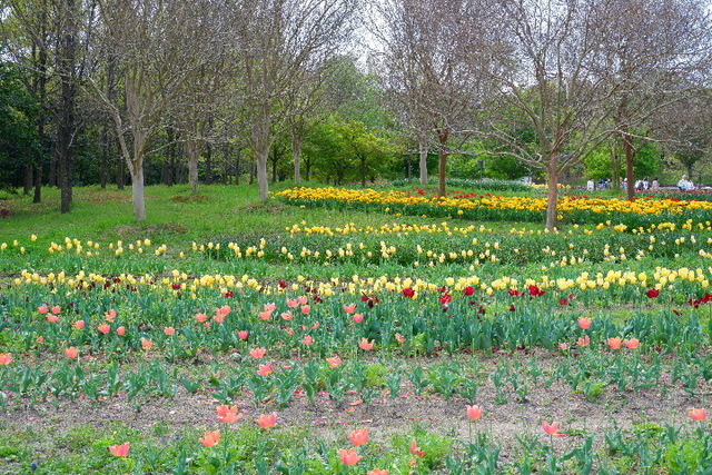 DSCF0786.JPG