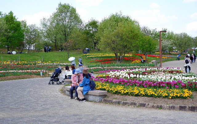 DSCF0796.JPG