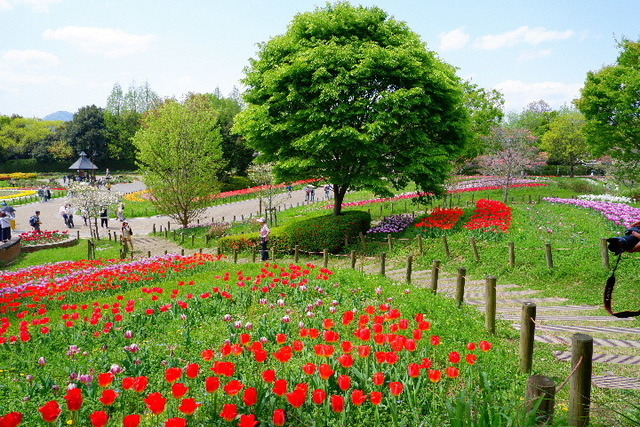 DSCF0804.JPG