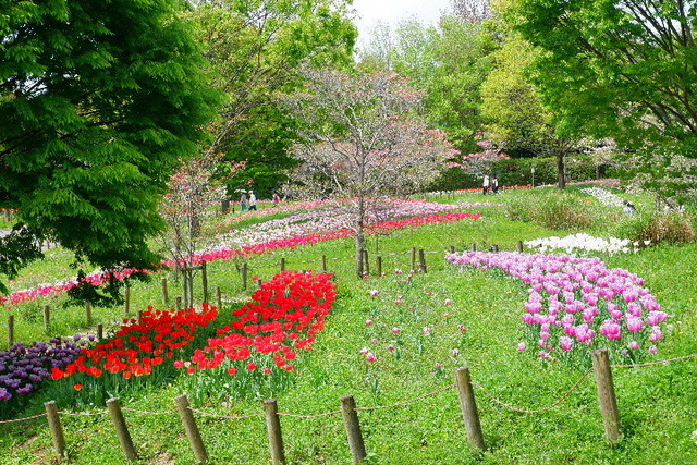 DSCF0805.JPG