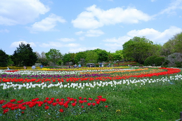 DSCF0812.JPG