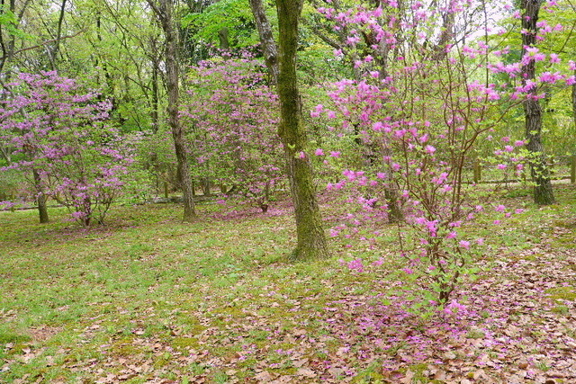 DSCF0834.JPG