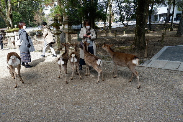 DSCF2781.JPG