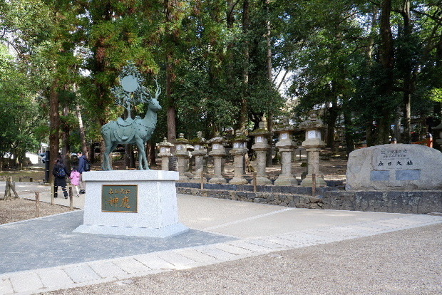 DSCF2782.JPG