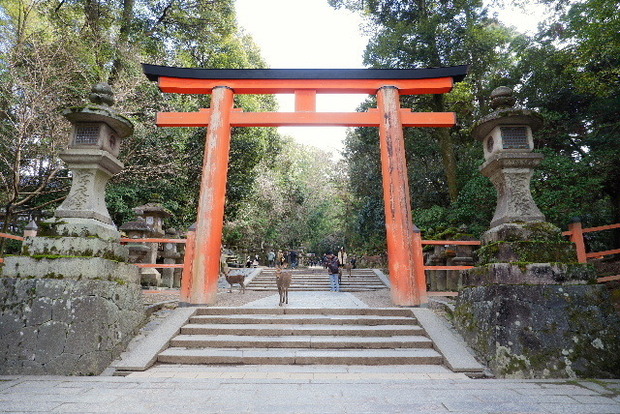 DSCF2783.JPG