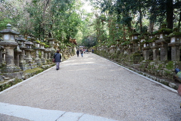 DSCF2784.JPG