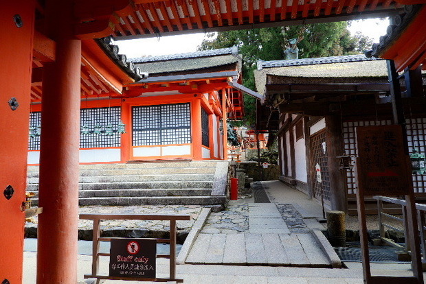 DSCF2797.JPG