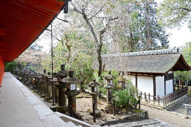 DSCF2800.JPG
