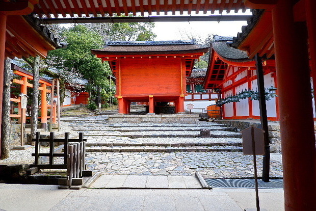 DSCF2802.JPG