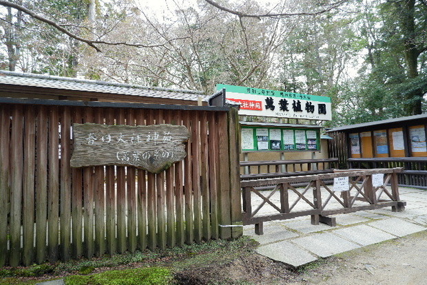 DSCF2806.JPG